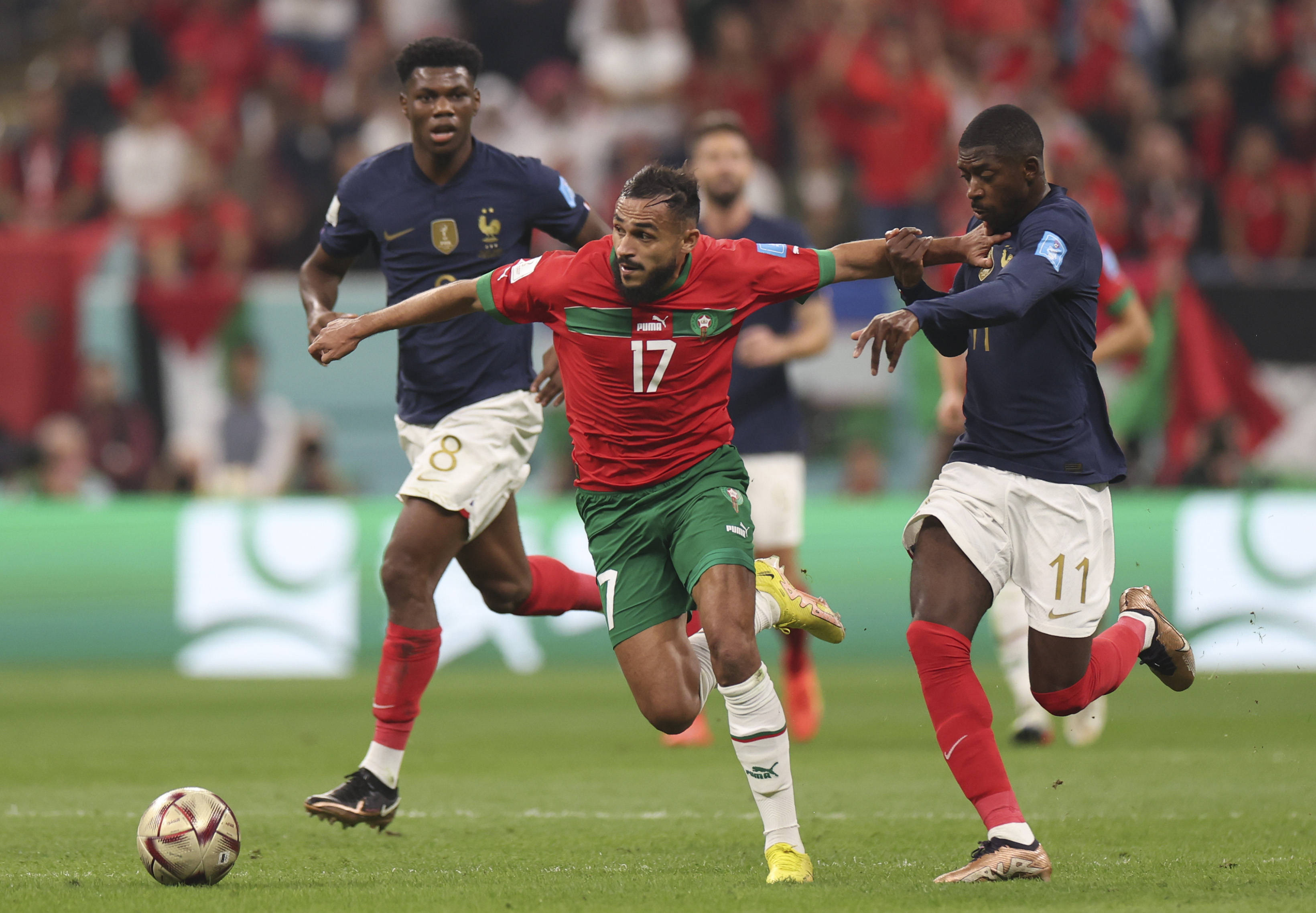 利诺庆祝进 利诺庆祝进